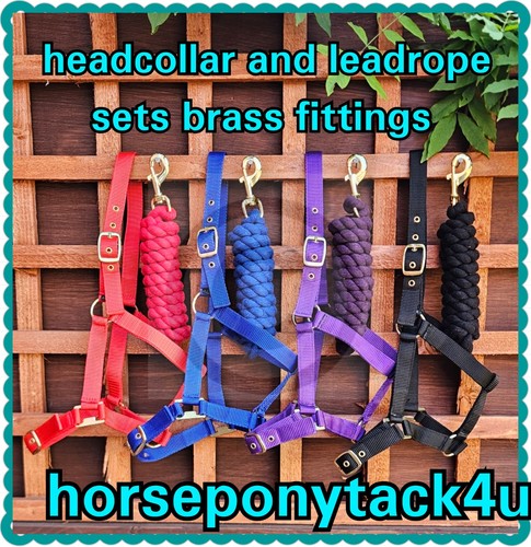 New headcollar and - in, leadrope