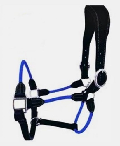 Cwell equine deluxe black - cwell,