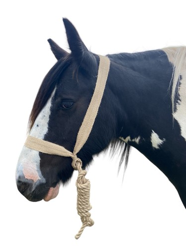 Yorkshire halter webbing jute - yorkshire,