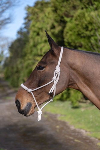 Rhinegold cotton rope halter - cotton,