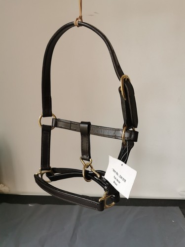 Elano foal leather headcollar - elano,