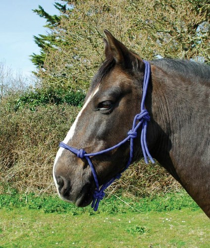 Rhinegold rope halter - rhinegold,