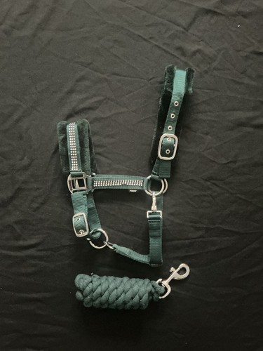 Pony size diamanté - diamanté, head