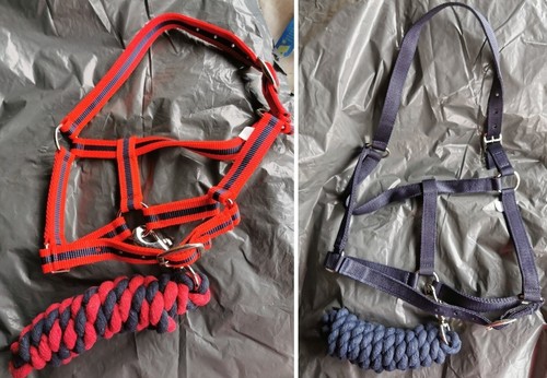 Harlequin headcollar - headcollar, (halter)