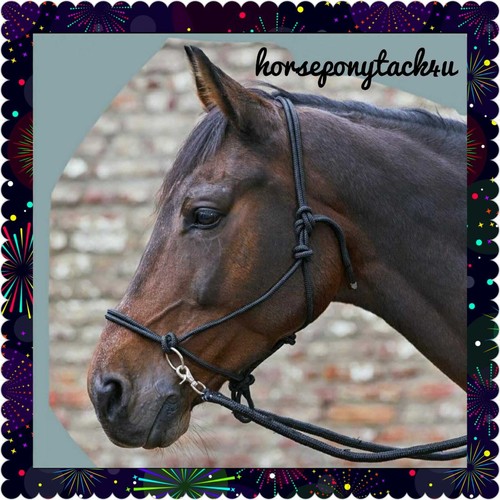 Bitless pressure rope halter - pressure,