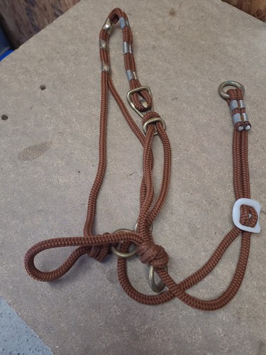 Nice training halter - training,