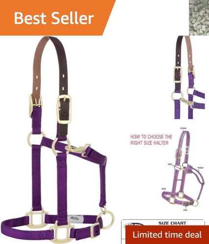 Triple ply nylon - horse, halter