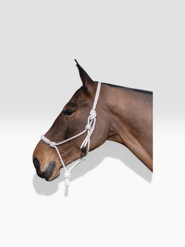 Rope halter control - rope, pressure