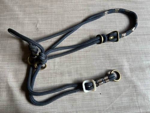 Nice pony sized - nice,
