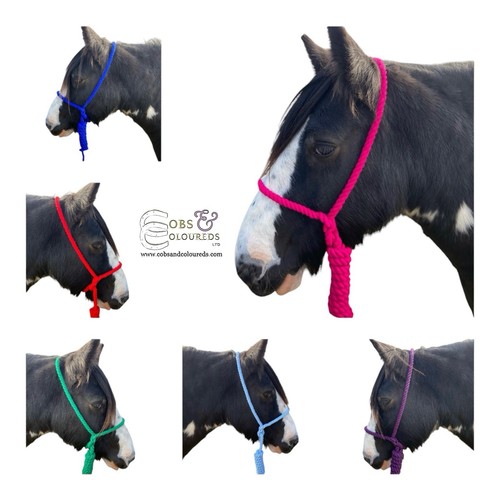 Coloured rope halter cob - coloured,