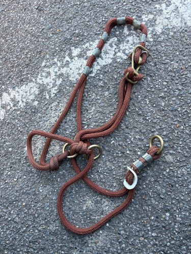 Nice pony halter - nice,