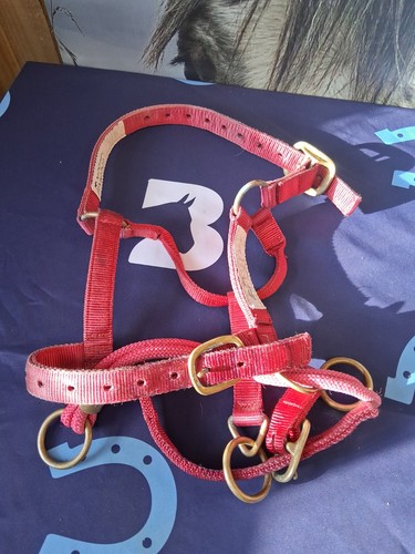 Monty roberts dually halter - monty,