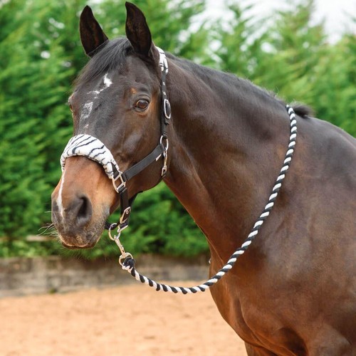 Horse padded headcollar - horse,