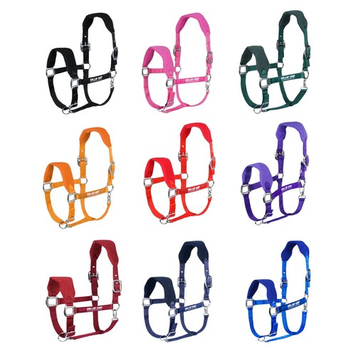 Gallop horse halter - horse,