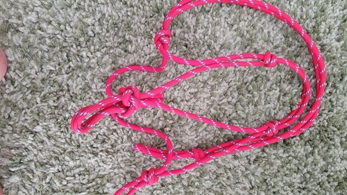 Parelli type pony halter - type,