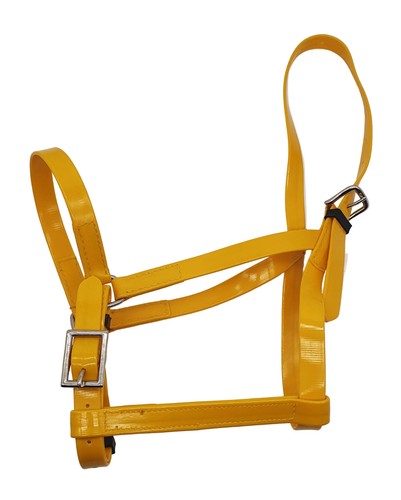 Pvc horse halter headcollar - pvc,
