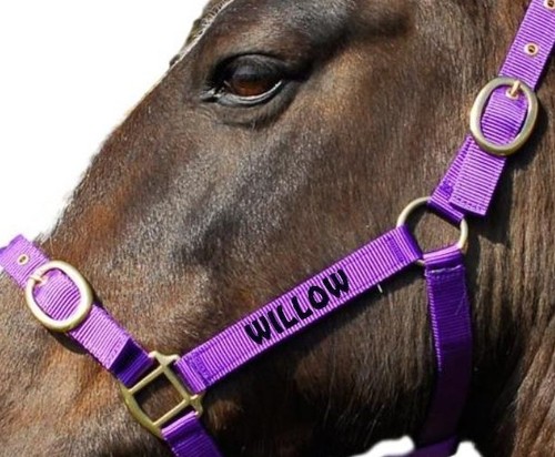 Personalised embroidered - personalised,