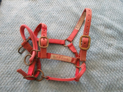 Monty roberts dually - ,