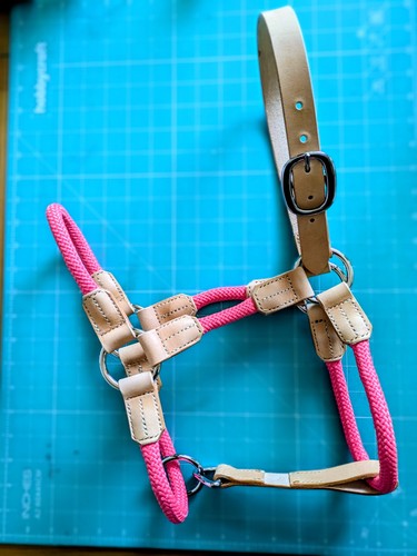 Horse halter leather - halter,