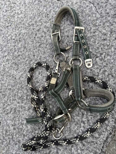 Anky nylon horse - nylon, headcollar