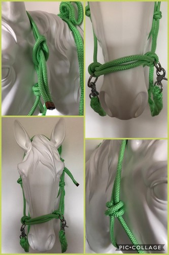 Rope halter with - halter,