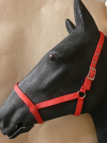 Libbys horse pony driving - horse/pony,