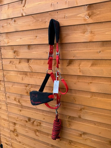 Nylon horse halter headcollar - halter,