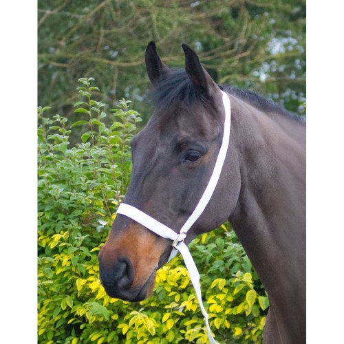 Equisential adjustable show - adjustable,