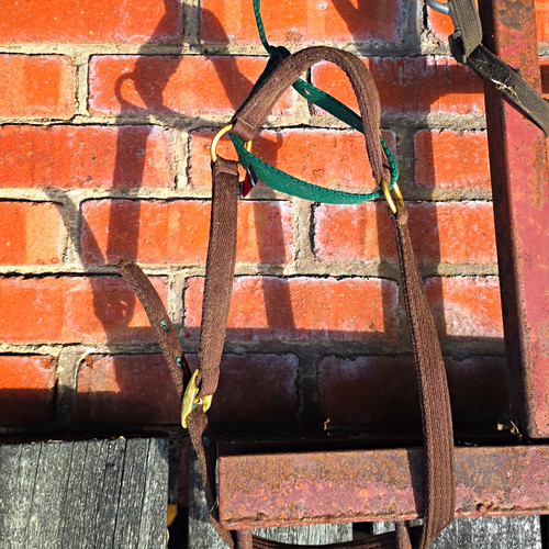 Airborne controller halter - airborne,