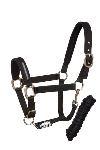 Horse halter headcollar rope - horse,