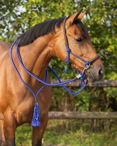 Qhp liberty rope - liberty,