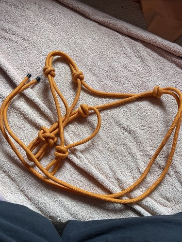 Pony knotted halter orange - pony,