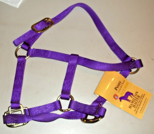 Nwt hamilton purple nylon - purple, 3/4"