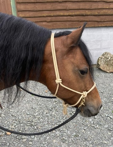 Side pull rope - side, pony