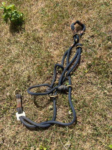 Nice pony size - pony, halter