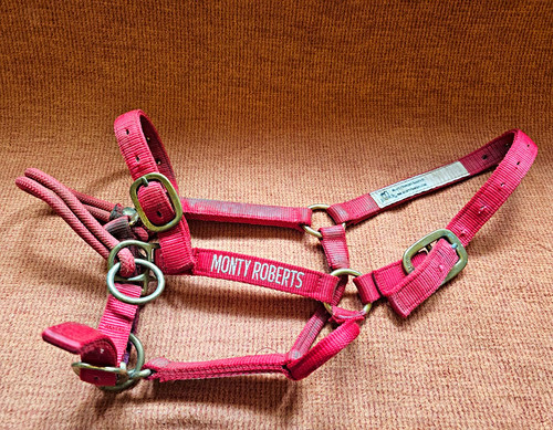 Monty roberts dually - monty,