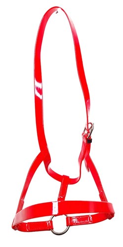 Horse under halter red - horse,