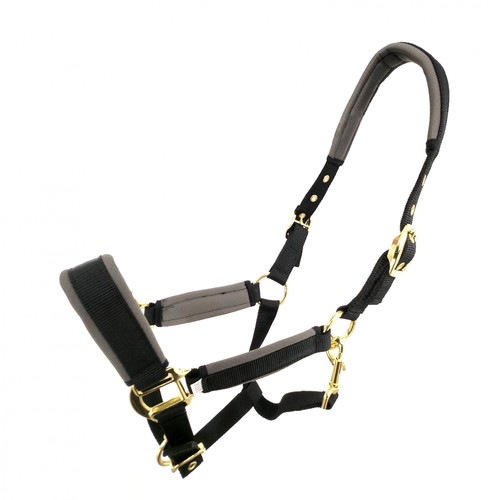Coco equestrian black - equestrian,
