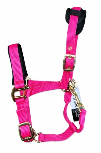 Horse headcollar halter - horse,