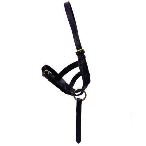 Leather foal slip horses - slip, |