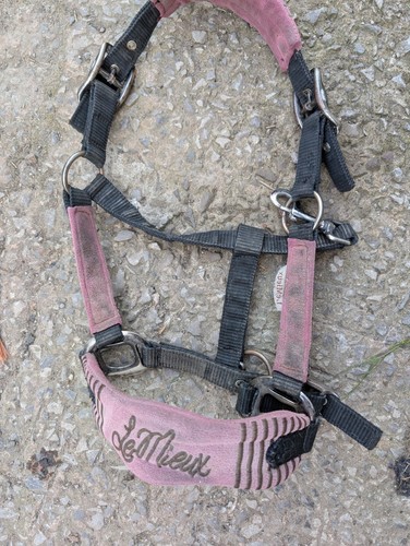 Lemieux pony headcollar - pony, /