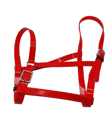 Horse halter pvc - horse, adjustable
