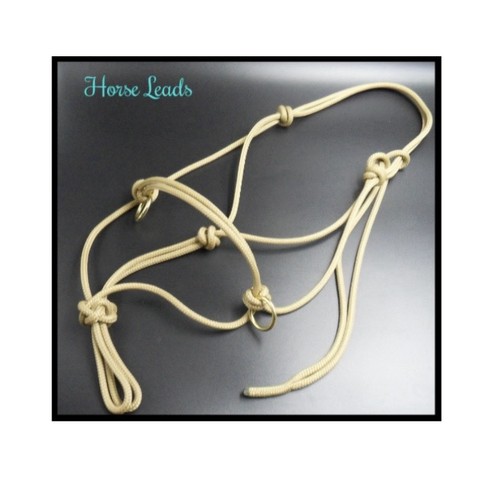 Horse leads rope halter pony - leads,