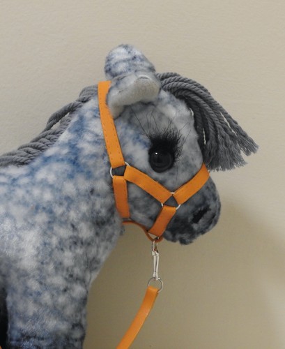 Handmade foal halter - handmade, head