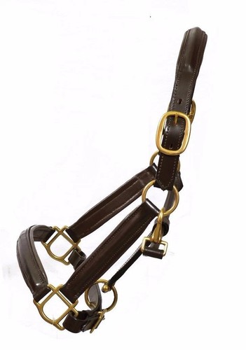 Leather horse padded halter - horse,