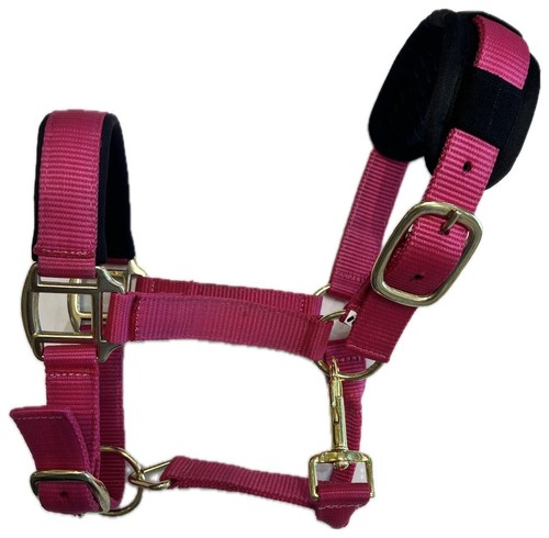 Horse headcollar halter - horse,