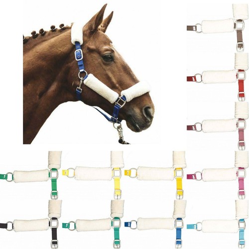 Horse headcollar halter - horse, padded