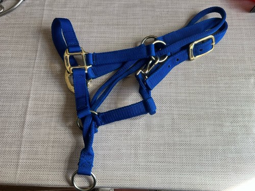 Pony control halter headcollar - control,