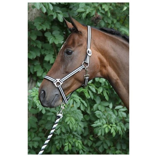 Horse halter fleece - halter,