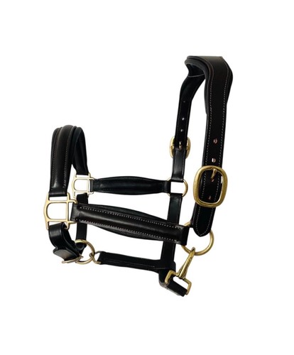 Padded comfort leather - comfort,